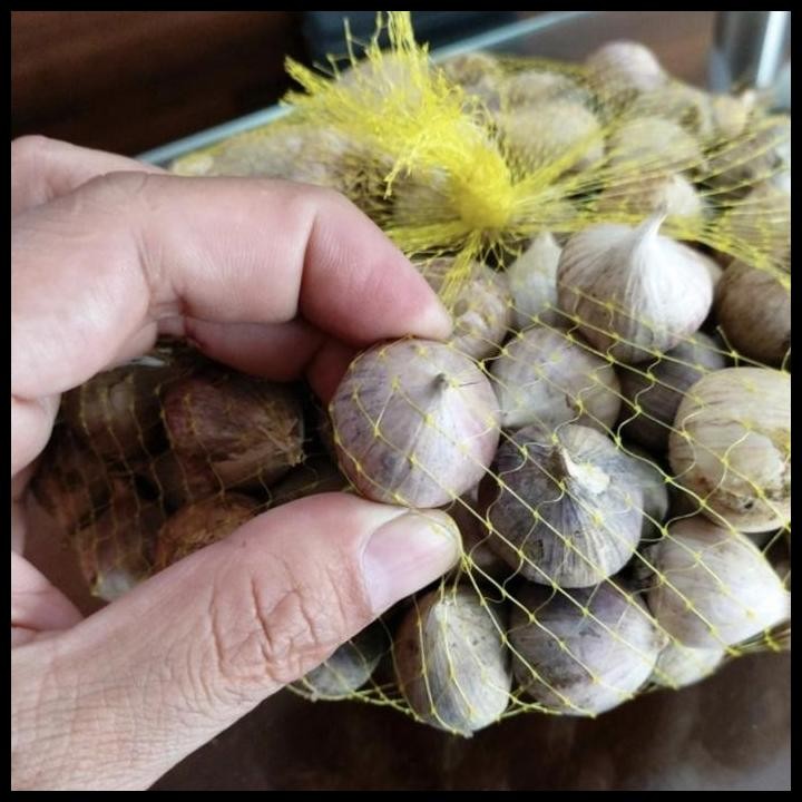 

Terlaris Bawang Putih Tunggal/Bawang Lanang 1Kg Good Quality