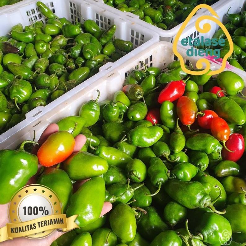

Eksklusif Cabai / Cabe Gendot / Cabe Dieng / Cabe Gendut / Habanero / Cabe Fresh / Cabe / 1Kg / 0,5 Kg