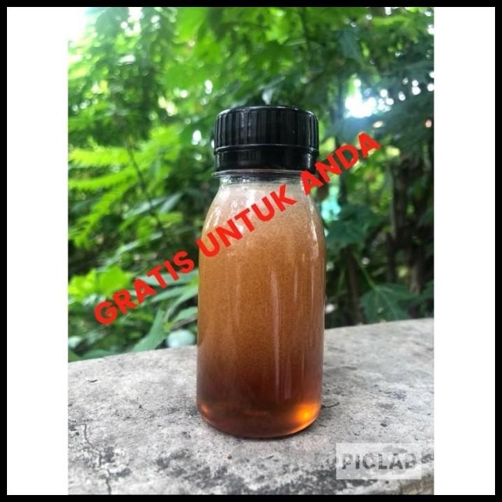

Terlaris Madu Sumbawa Asli Good Quality
