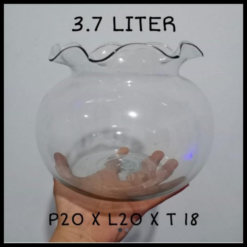 AQUARIUM 12,3L - 7,2L- 3,7L - AQUARIUM BULAT KACA - AQUARIUM HIAS - AQUARIUM CUPANG - AQUASCAPE