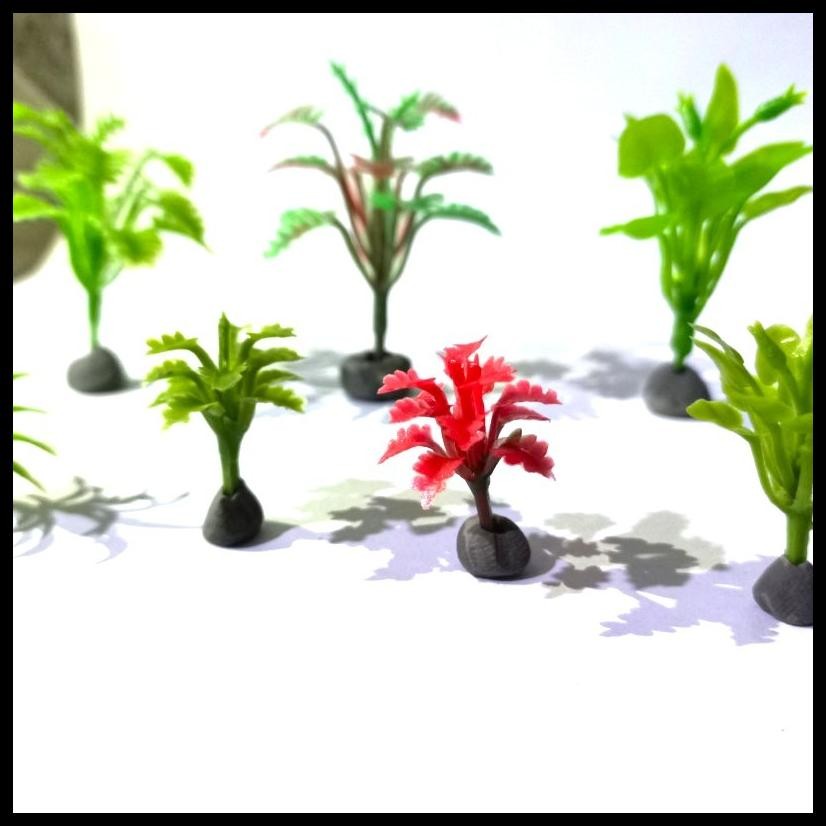 MINIATUR TANAMAN HUTAN HUJAN MAKET AQUASCAPE TERRARIUM DIORAMA B36