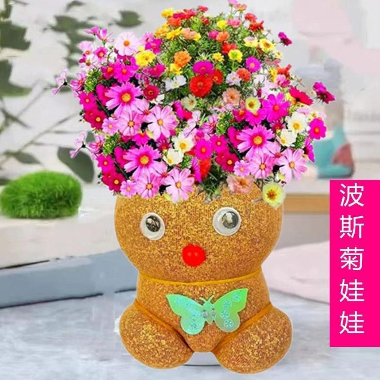 g-24 Mega Sale Horta Bunga Tanaman Horta Horta Unik Mainan Tanaman Horta Horta Mini Mainan Edukasi M