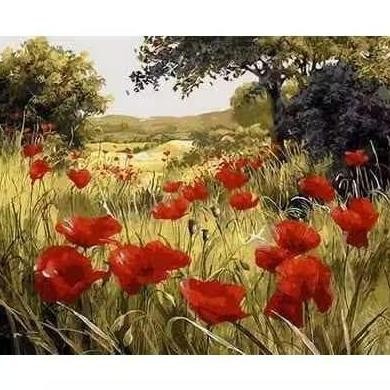 

ready !!! DIY Canvas Paintings for Sale Paint by Numbers Adult Handmade Painting Wall Art
