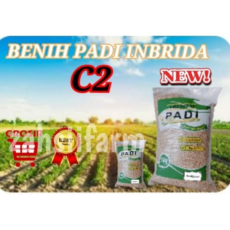 BENIH PADI INBRIDA C2 5KG TERBARU