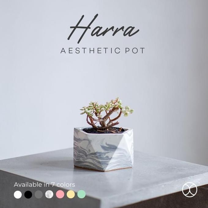 

CONCREATE Pot Kaktus Harra 10 cm / Pot Tanaman / Dekorasi Meja