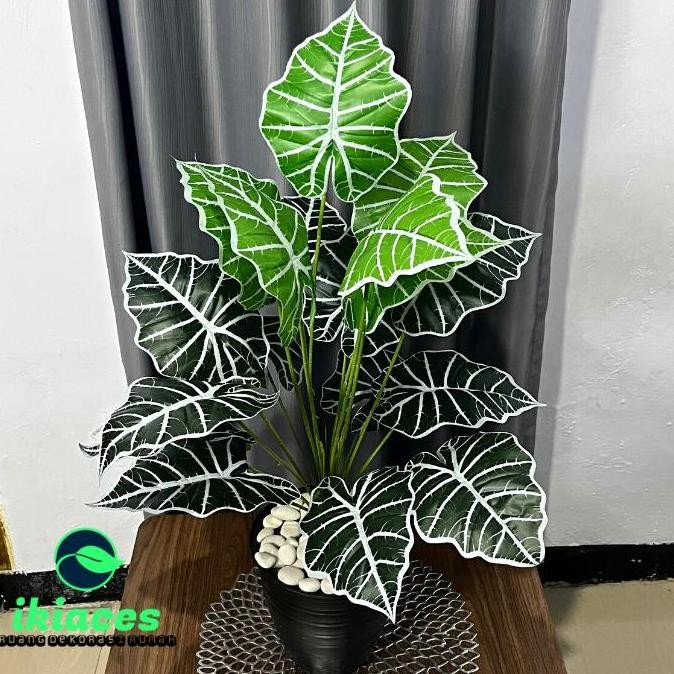 

DAUN AGLONEMA ARTIFICIAL DAUN PLASTIK POT BUNGA KELADI HIAS MURAH DAUN ARTIFISIAL TANAMAN HIAS PLASTIK DEKORASI RUMAH