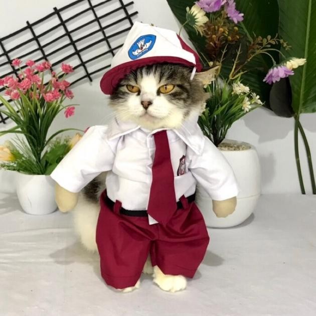 NEW Baju kucing/anjing karakter "anak SD"