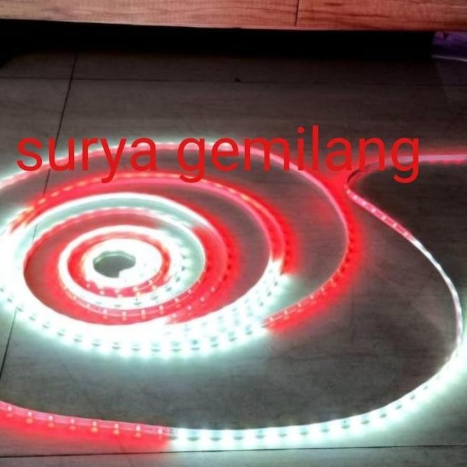 Murah Lampu Led Selang Merah Putih 100Meter 100M. Lampu Selang Kemerdekaan Merah Putih 100M. Lampu S