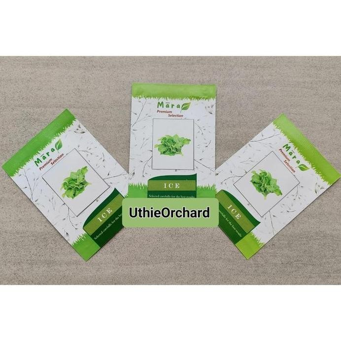 fresh Mara Premium Selection - Benih Crystalline Ice Plant (Ice Lettuce) Ice 100 seeds murah