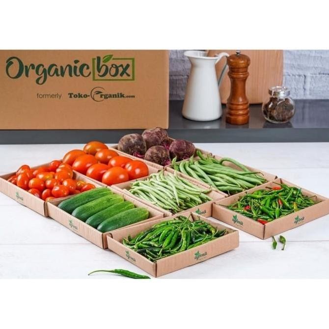 fresh JSR kebun Sehat Pembersih Sayur & Buah 500 ml murah