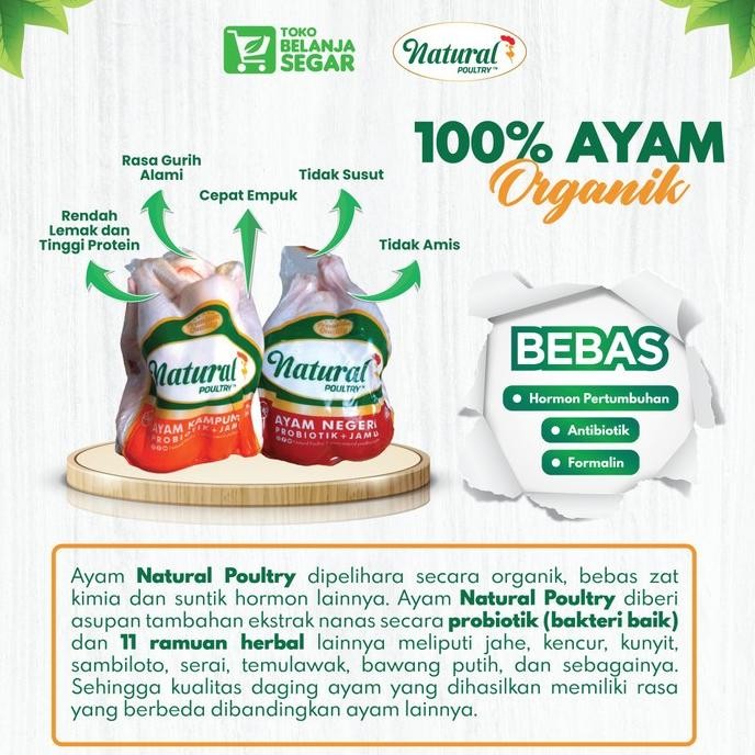 

(Expert) Paket HAPPY DUO B: 2 Ayam Probiotik - Natural Poultry