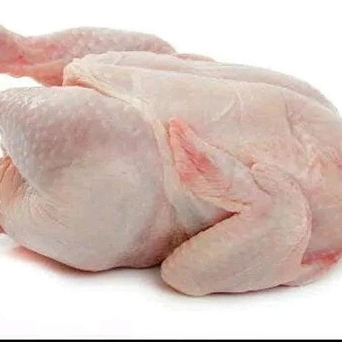 

Ayam Segar 1.3 - 1.5 Kg Pos Sayur Palembang