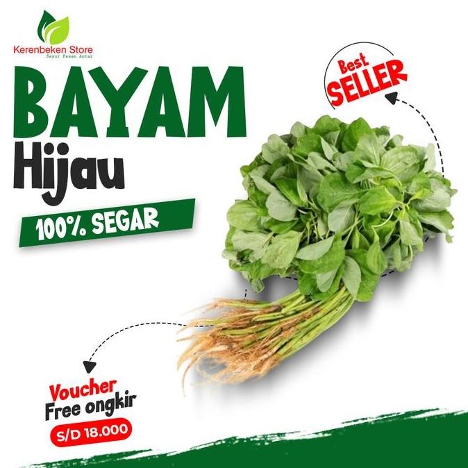 

sayur daun bayam hijau segar per ikat