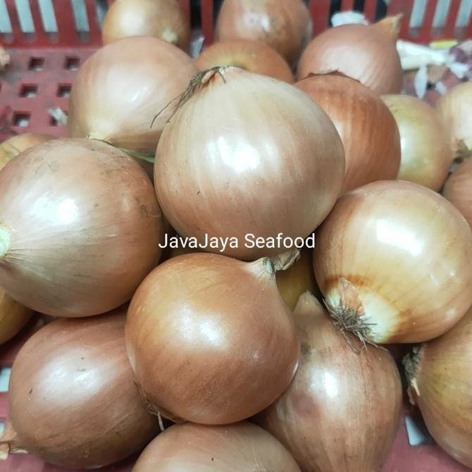 

Bawang Bombay / Sayur Segar Fresh