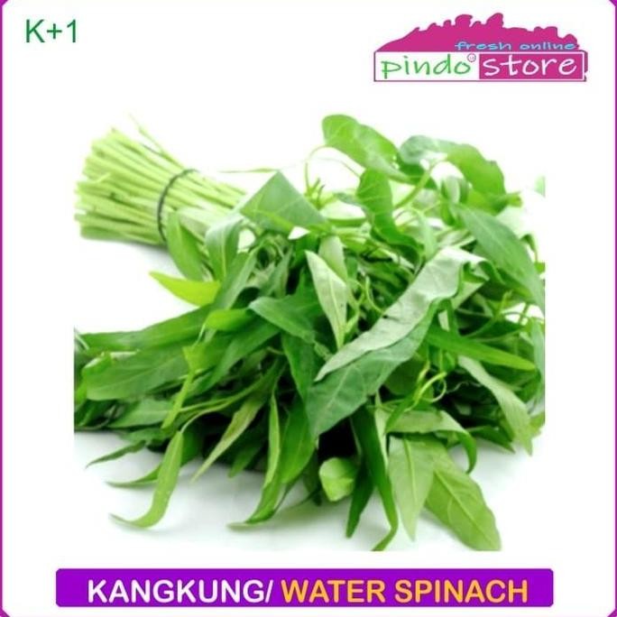 

KANGKUNG SEGAR / WATER SPINACH / SAYUR KANGKUNG PER IKAT