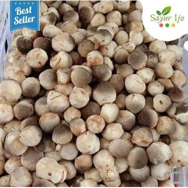 

Jamur Merang 500 Gram Grade A Fresh Straw Mushroom Sayur Ijo Segar