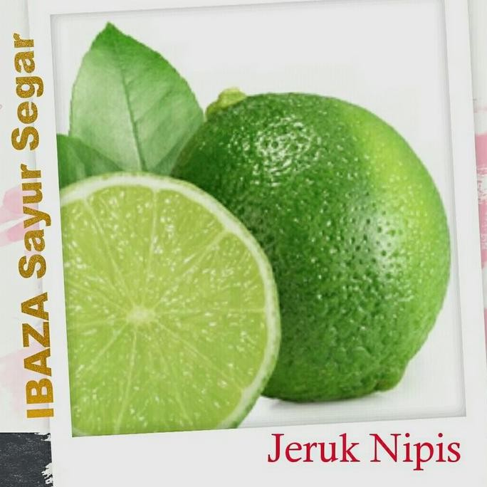 

JERUK NIPIS Sayur Segar IBAZA fruitsBOX