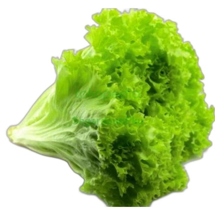 

Sayur Selada Hijau Segar 200 Gr Pekanbaru