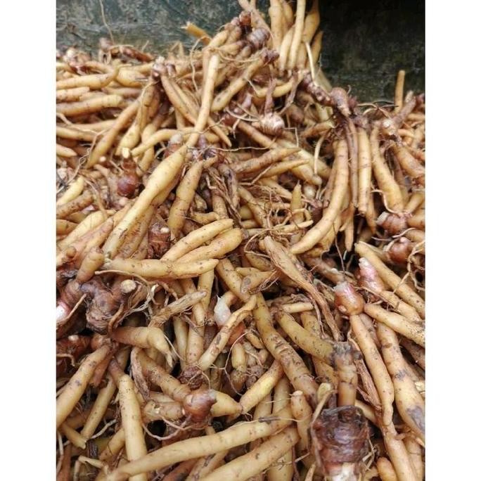 

Rempah Kunci Sayur Segar 250gr