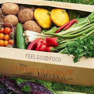 

Sayur Segar Paketan 1 Minggu SUPER MURAH