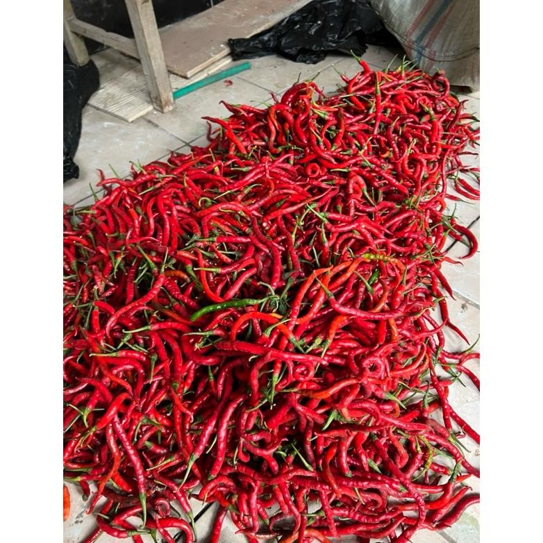 Cabe Merah Keriting 100 250 500 gram 100gram gr 0,25 0,5 0,1 kg 1 ons Kriting Lombok Fresh Murah Cab