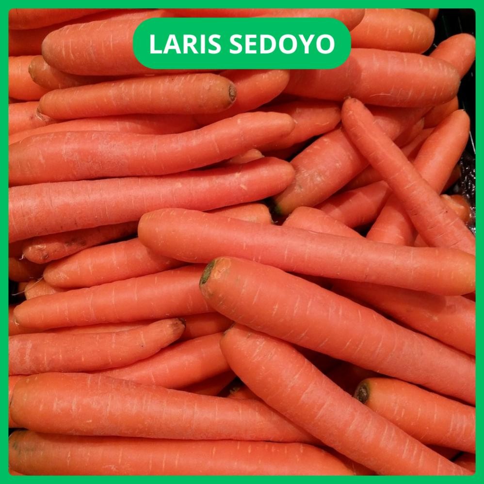 

TERLARIS WORTEL BRASTAGI / BERASTAGI BUAH IMPOR SAYUR SAYURAN MAKANAN SEGAR FRESH