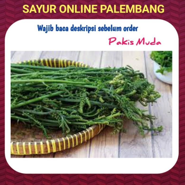 

Pakis Haji Muda Segar Per Ikat - Pasar Toko Sayur Segar Online Palembang