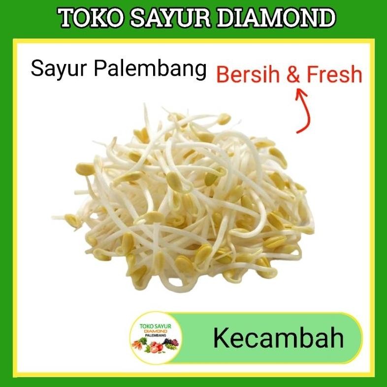 

Kecambah Toge Tauge - Toko Sayur Diamond Sayuran Mayur Online Segar Palembang