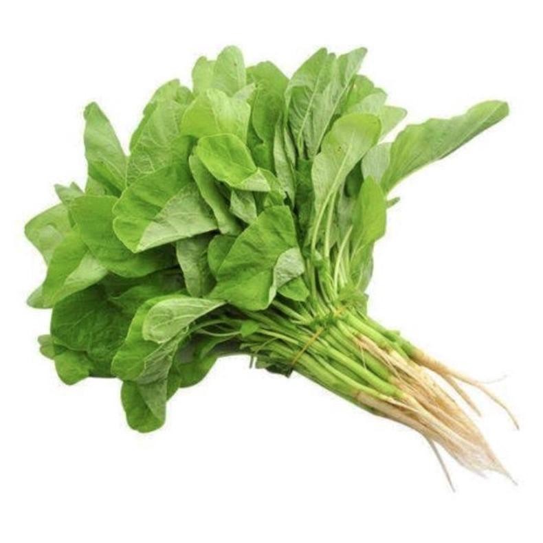 

PASAR ONLINE MURAH - BAYAM / BAYEM 1ikat