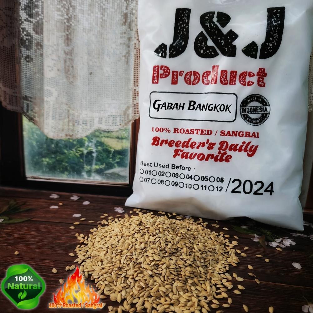 READY STOCK GABAH BANGKOK MINI 1KG GABAH PAKAN BURUNG