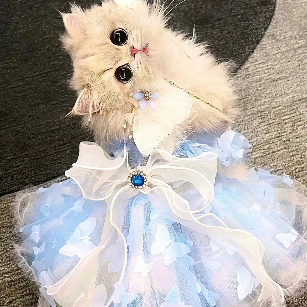 Butterfly Fairy Iridescent Blue Butterfly Wings Spring Summer Cat Dog Fairy Dress