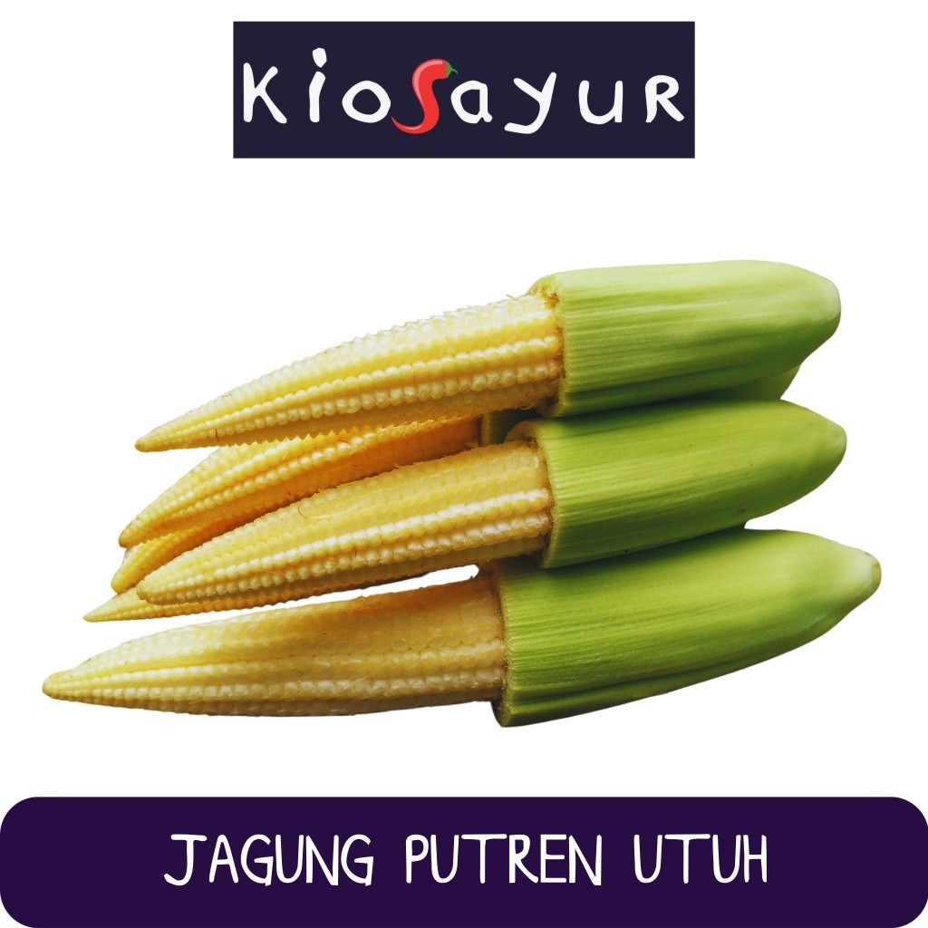 

Jagung Putren Utuh Kiosayur
