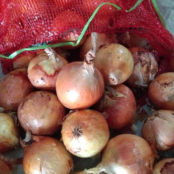 

Bombay Besar Uk6080 Kemasan 20Kg