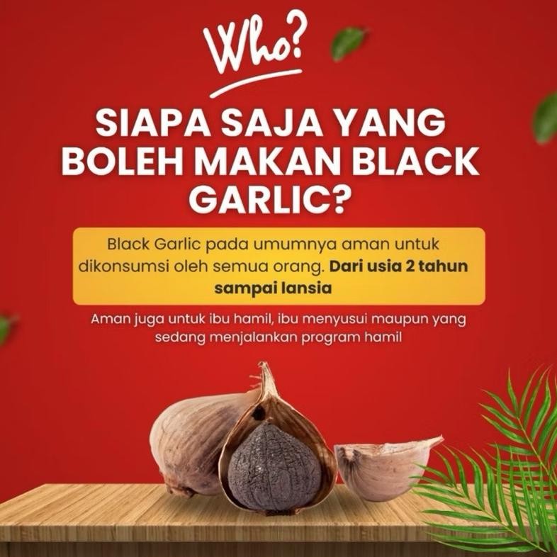 

Black Garlic Solo Nutribite HSD | Bawang Hitam Tunggal 100GRAM