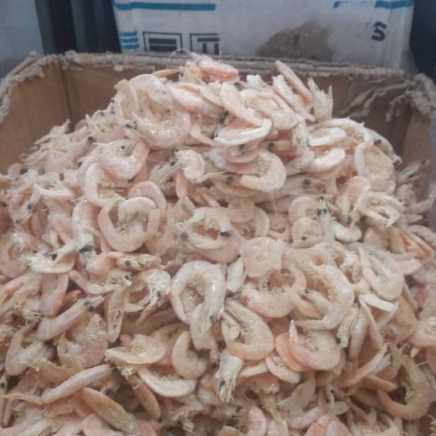 

ready Udang Kering Medan 250gr murah