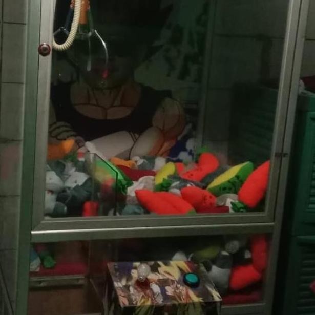 Grosir Mesin Capit Boneka Ori Normal