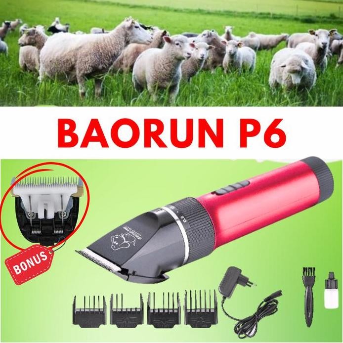 Terlaris Promo Baorun P6 Mesin Alat Cukur Domba Garut Di Cas Elektrik