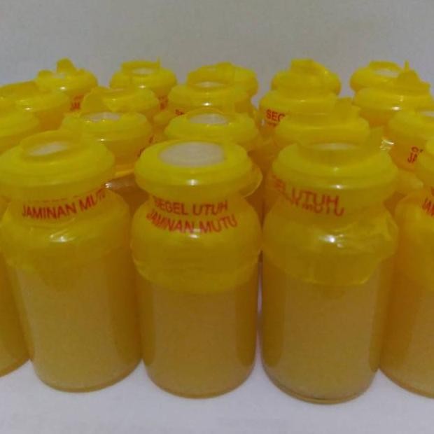 Minyak Bulus 10ml / Risma Minyak Bulus SV9