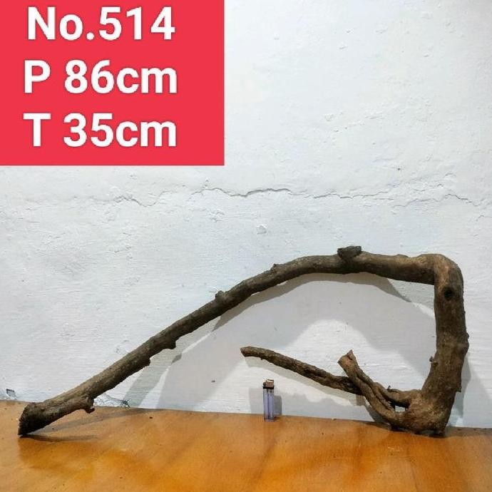 Bonggolan Santigi Laut Akar Dekorasi Aquascape Aquarium 514