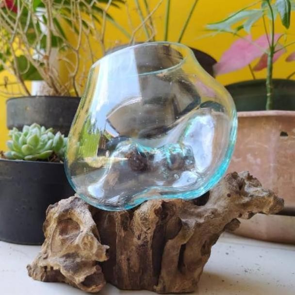 Glass On Wood/Aquarium Akar Kayu/Aquarium