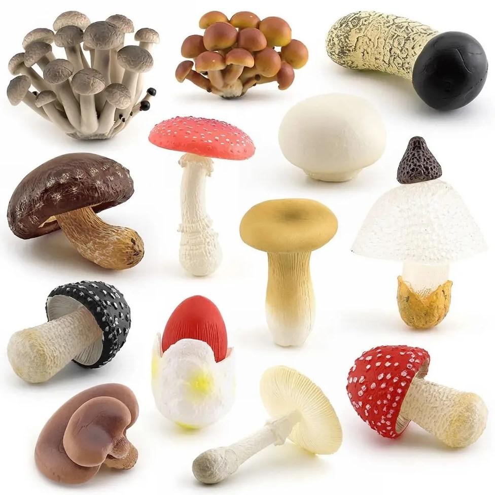

Matsutake Oyste Fungus Figurines Vegetable Model Landscape Miniatures Fungus Model Teaching Toy Plant Simulation Mushroom