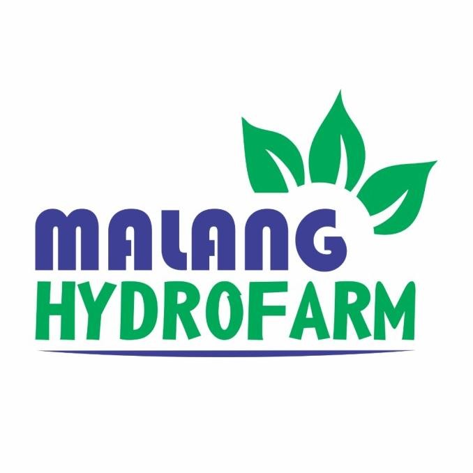 

[Expert] Tali Salaran Biru Tanaman gawar pakis anggrek ajir tanaman hortikultura