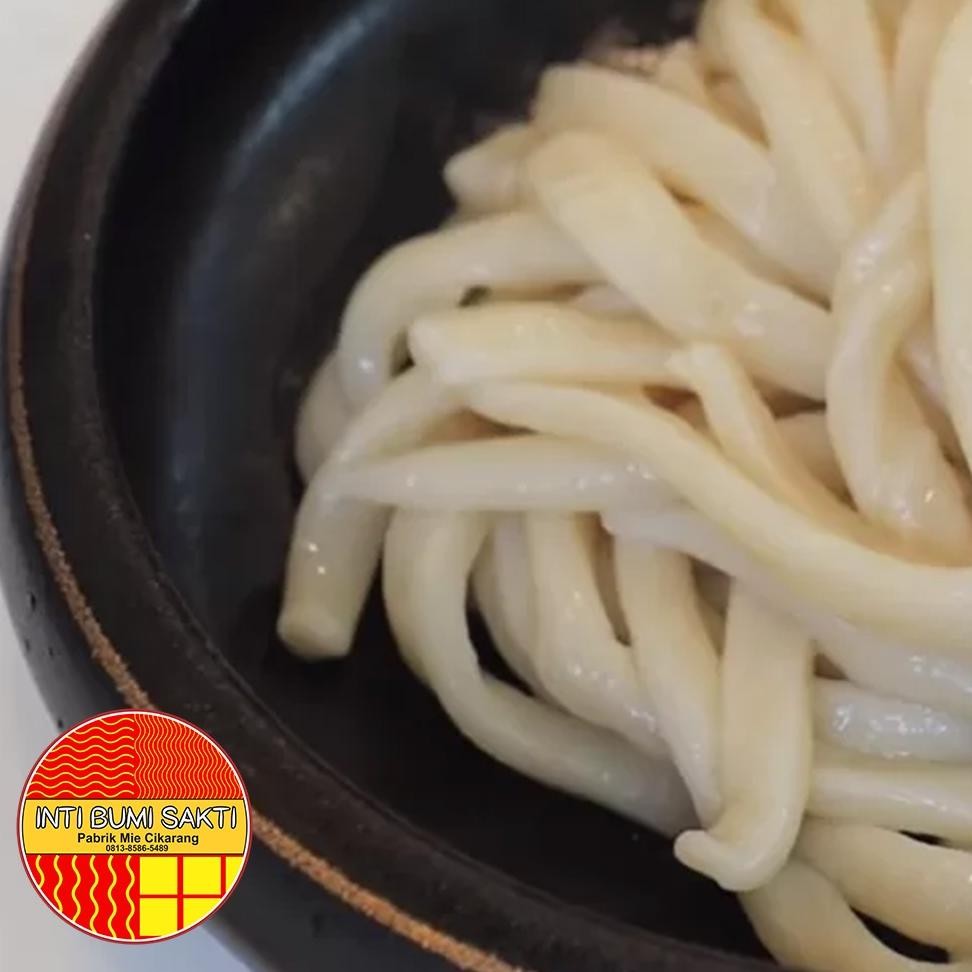 

Mie Mentah Lurus UDON Telur Ayam Super Spesial Untuk Mie Ayam, Bakmie, Ramen Dan Lainnya Fresh, Kenyal Tidak Lembek Halal Dan Sehat RB10