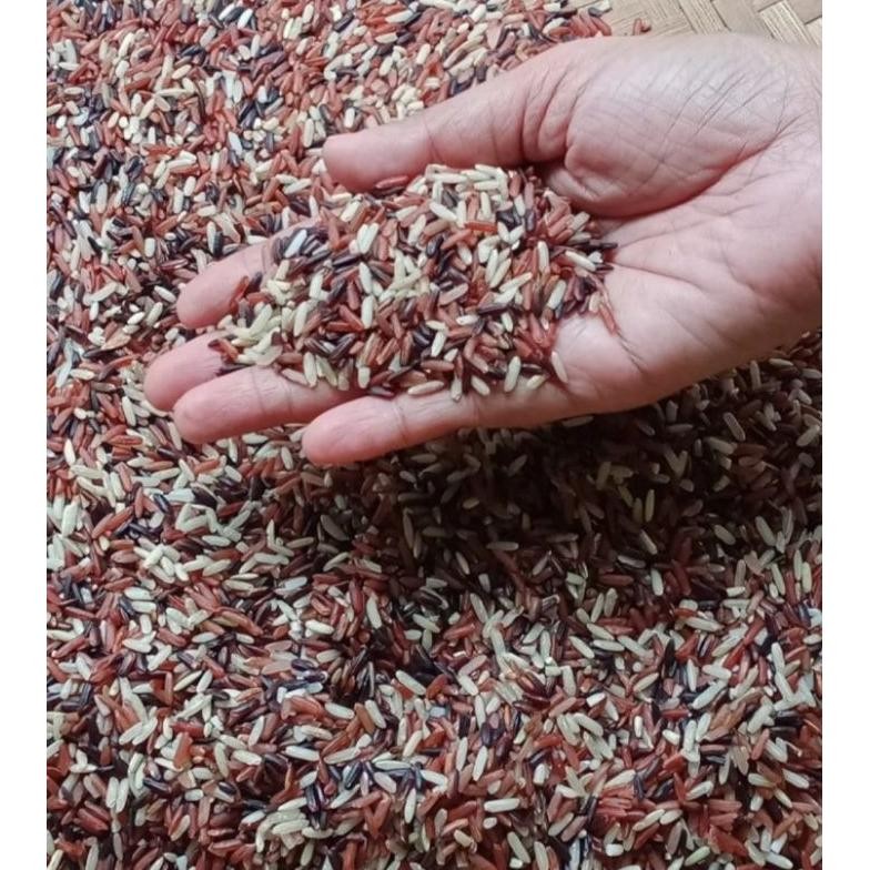 

Beras Mix Campur Merah Coklat Hitam Bergizi Organik 1Kg RB10
