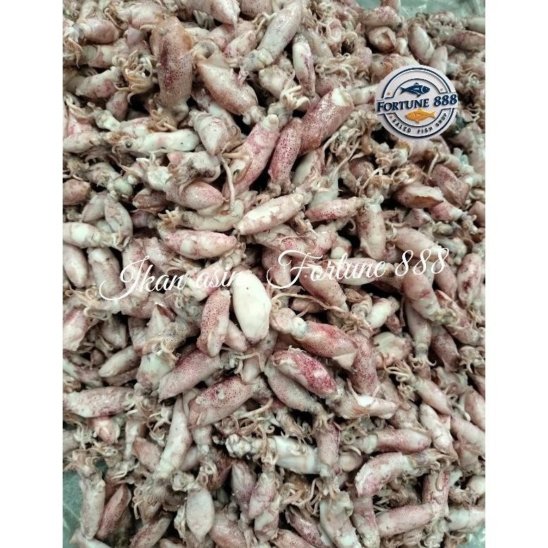 

Bisa Cod Ikan Asin Cumi Rebus Baby Ukuran 1-2Cm Super 1000Gram, 500Gram, 250Gram Ht-12