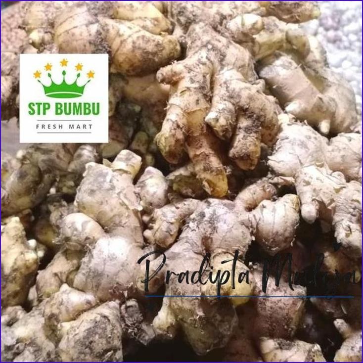 

Stok Ready.! Jahe Putih Super 250 Grm
