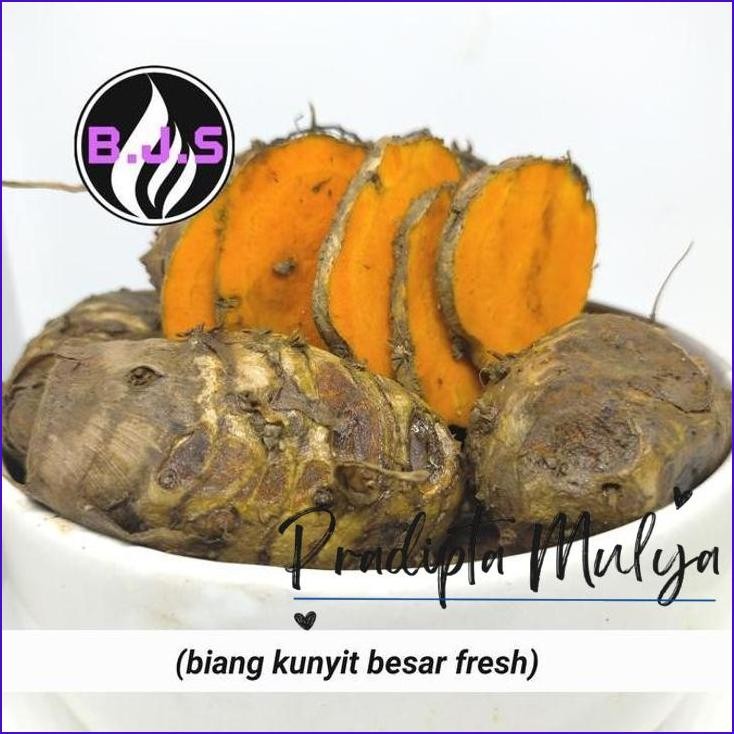 

Cuci Gudang..!! Biang Kunyit/Turmeric Prickly 1Kg