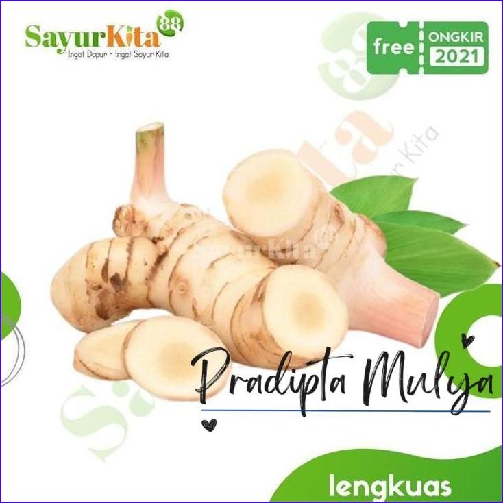 

Ready..!! Lengkuas/Laos Segar - Bumbu Dapur 500 Gr | 1 Kg