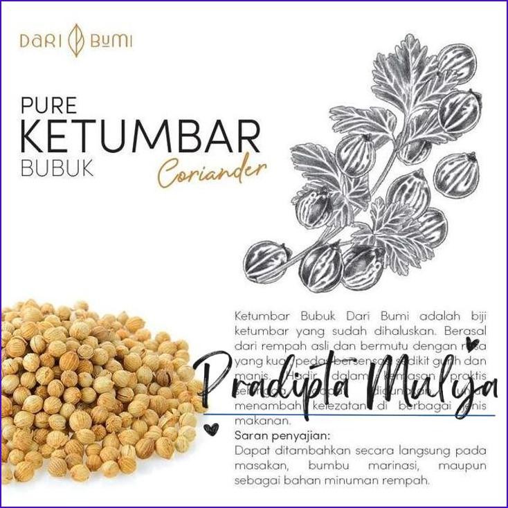 

Langsung Gas.! Dari Bumi Ketumbar Bubuk 50 Gram