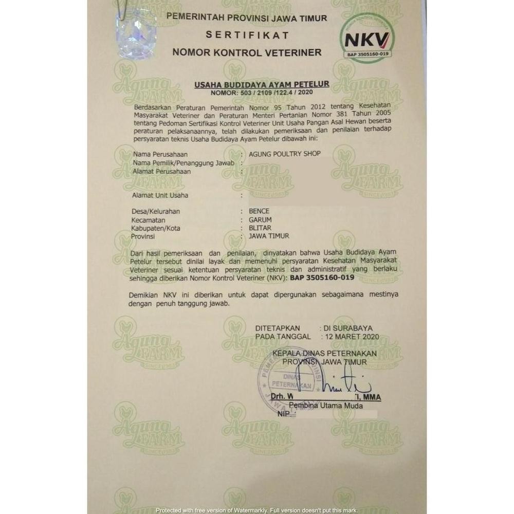 

TELUR AYAM NEGRI NEGERI SEGAR KEMASAN 10 BTR DARI KANDANG NKV